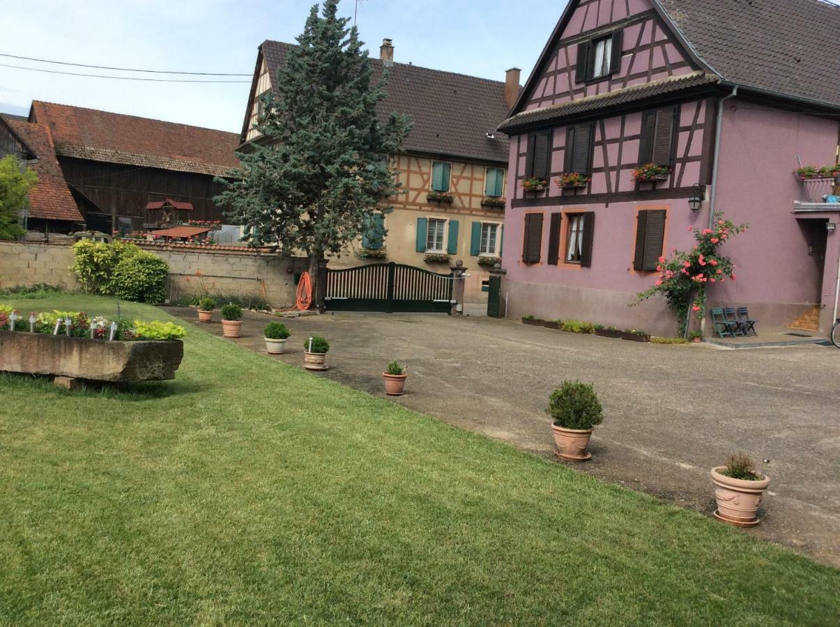 Gite Heinrich Ebersheim Dış mekan fotoğraf